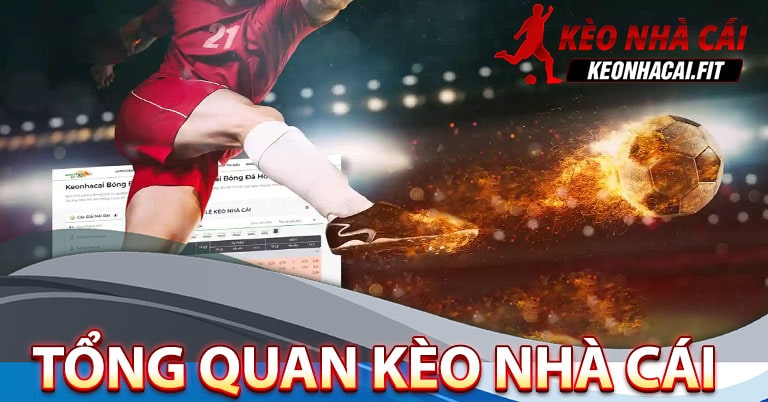 Tổng quan về chúng tôi trang thể thao uy tín nhất 2023