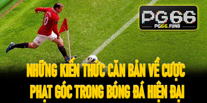 Những kiến thức căn bản về cược phạt góc trong bóng đá hiện đại
