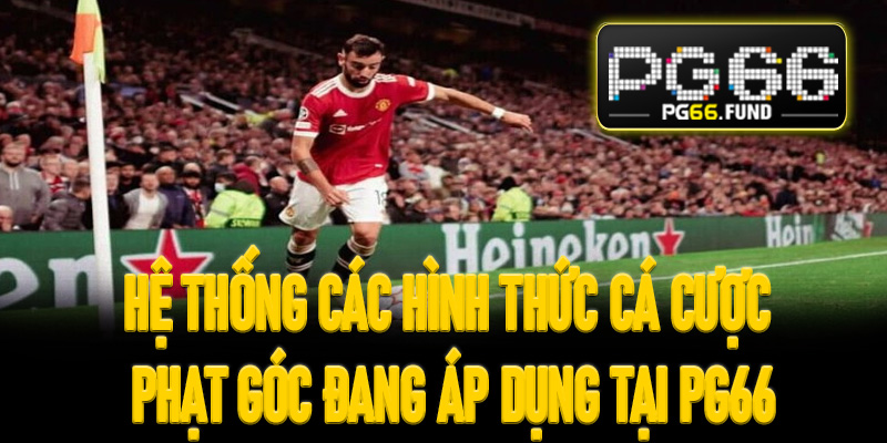 Hệ thống các hình thức cá cược phạt góc đang áp dụng tại PG66